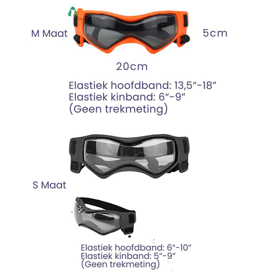 Hondenhelm en Bril - RiderPaw