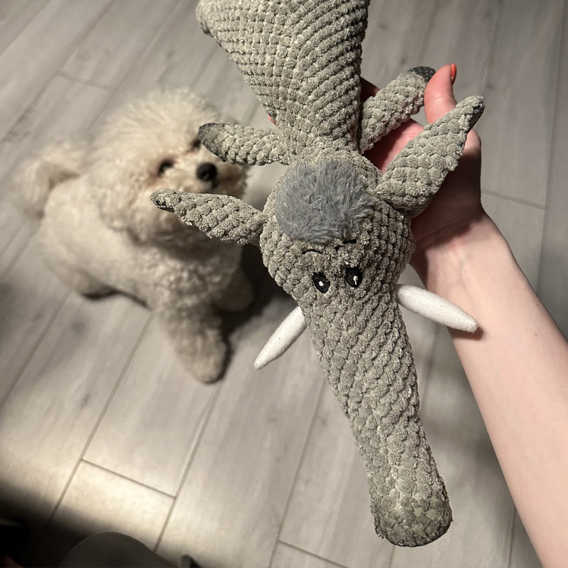 Extra Sterk Hondenspeelgoed - Maximus