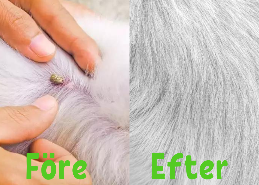 Halsband tegen Vlooien en Teken - FleaGuard