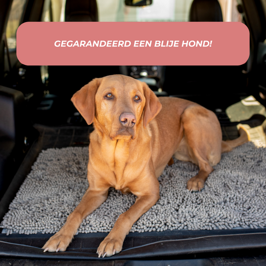 Honden Schoonloopmat - Boris