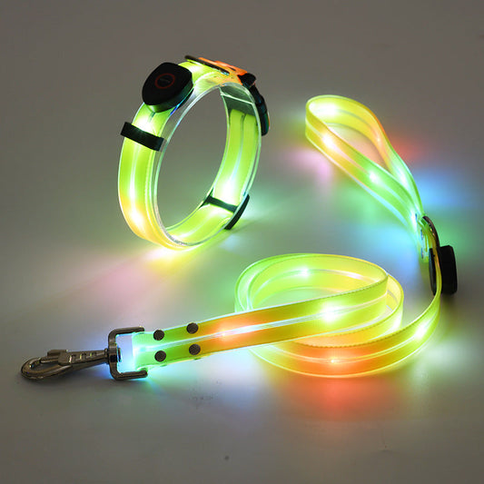 Lichtgevende LED Honden Halsband met Riem - NightBright