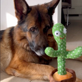 Pratend Cactusspeeltje voor Honden - Talk-to-Me Cactus