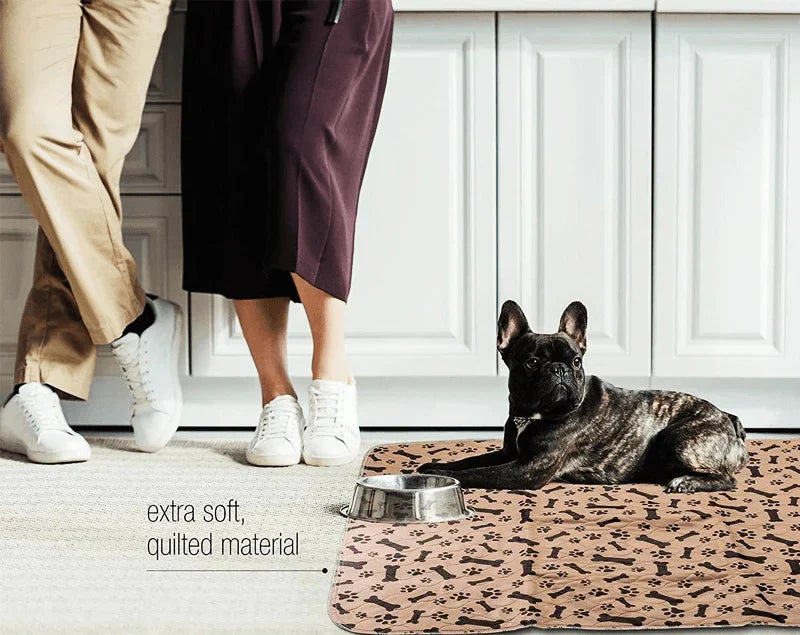 Herbruikbare Plasmat voor Honden - EcoPad
