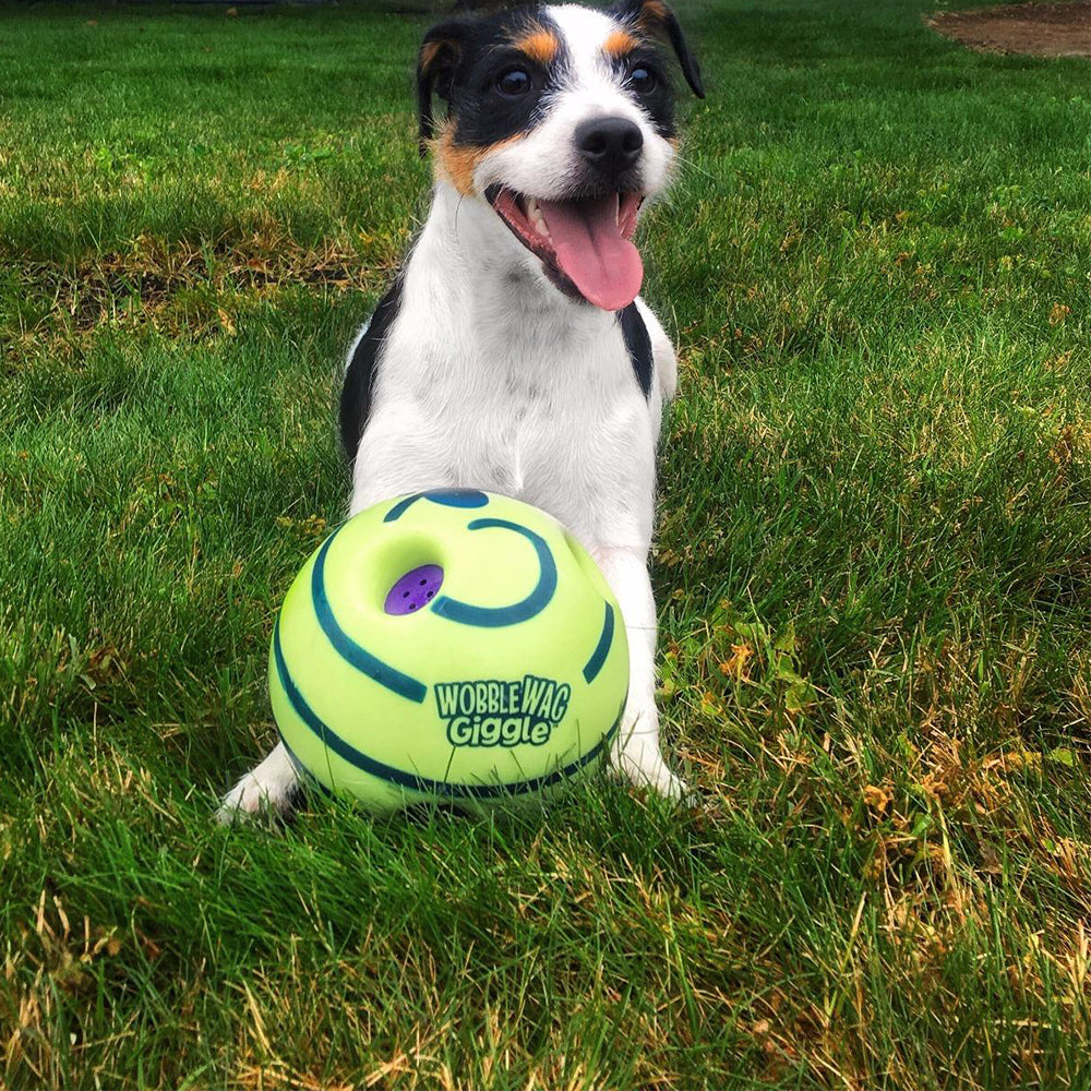 Interactieve Speelbal voor Honden - GiggleSphere