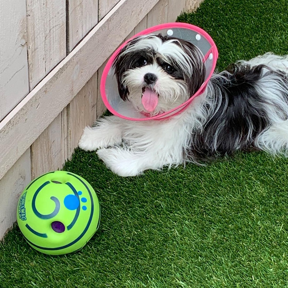 Interactieve Speelbal voor Honden - GiggleSphere