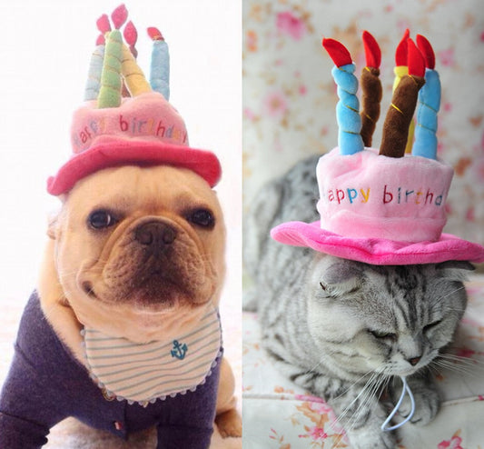Verjaardagshoed voor Honden en Katten - PartyPaws