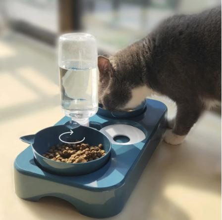 3 in 1 Pet Bowl™️