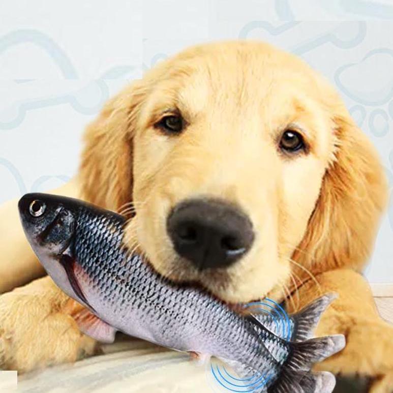 Fish Pet Toy™