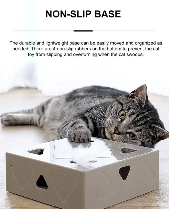 Cat Toys Box™️