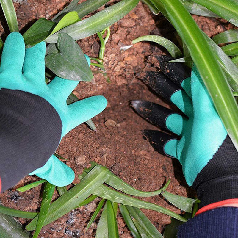 Paw Gloves™