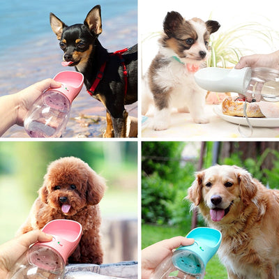 Doggo Bottle | Overal gemakkelijk water bij de hand