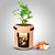 Plant Grow Bag™