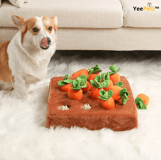 Carrot™ Schattenjacht - Hondenspeeltje