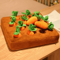Carrot™ Schattenjacht - Hondenspeeltje