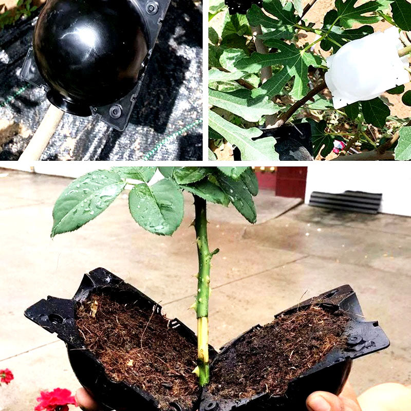 Plant Rooting Ball™