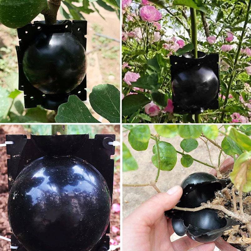 Plant Rooting Ball™