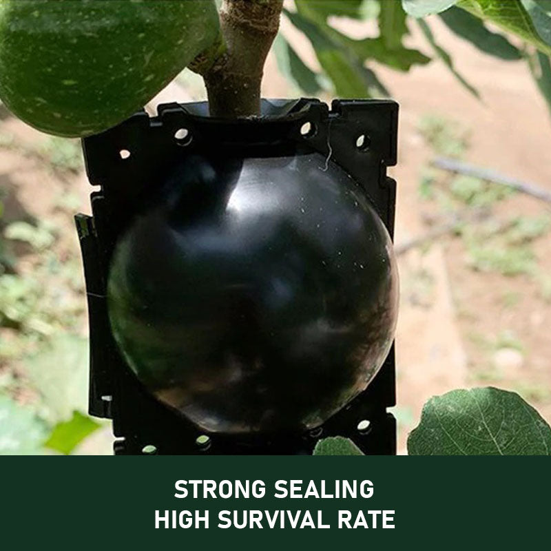 Plant Rooting Ball™