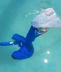 Pool Vacuum Cleaner™