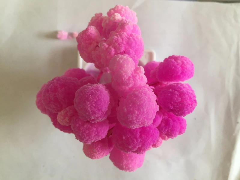 Magic Sakura Tree™️