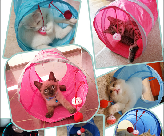 Pet Tunnel Toy™️