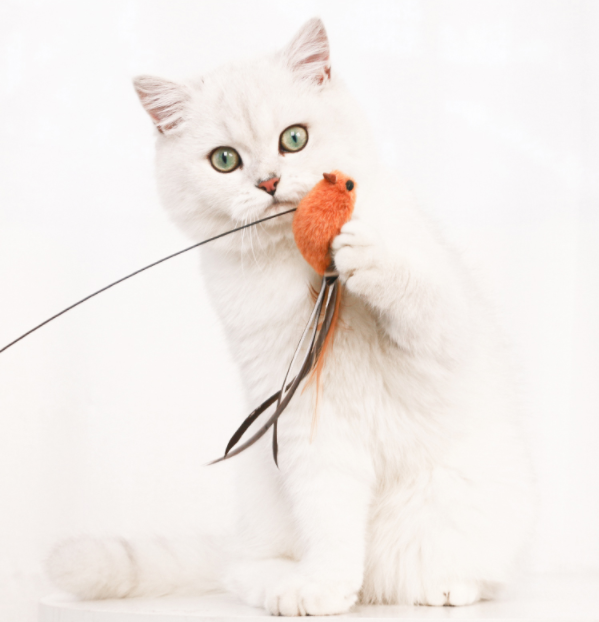 Interactive Cat Toy™ (1 + 1 GRATIS)