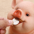 Cute Piggy Bank™️