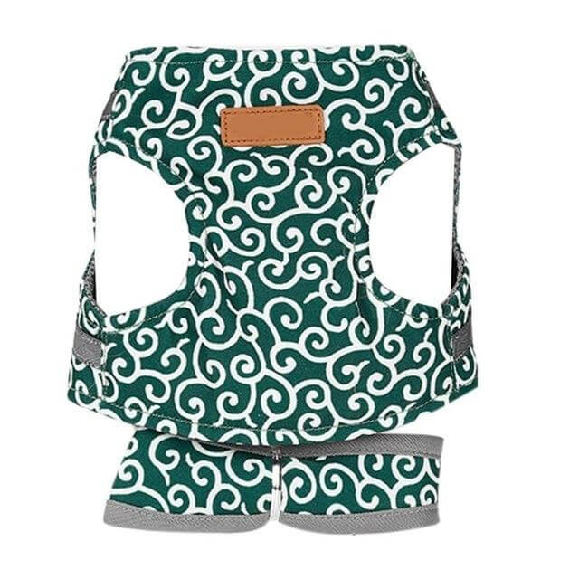 Kattenvest Harnas Set