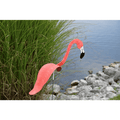 Flamingoz | Dynamische Vogel