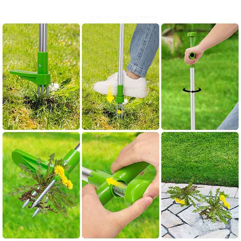 Root Killer | Wortel Verwijderaar