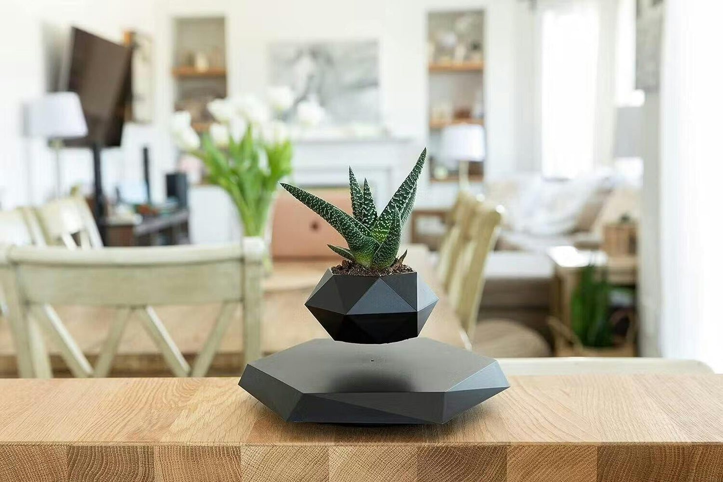 Zwevende Planthouder met Magnetische Levitatie - Liva