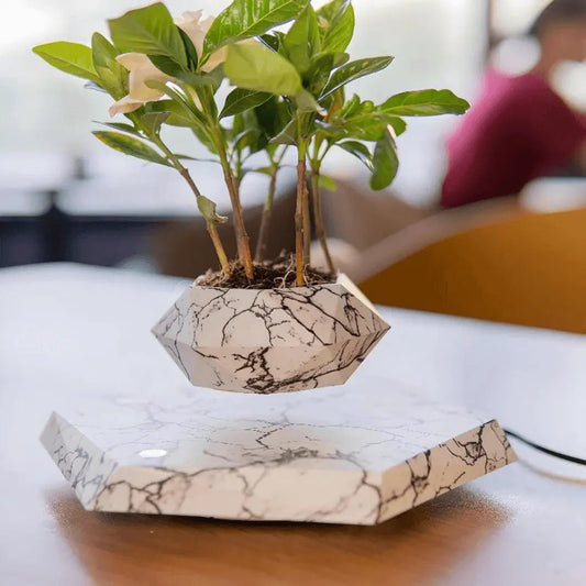 Zwevende Planthouder met Magnetische Levitatie - Liva