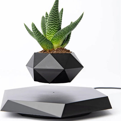 Zwevende Planthouder met Magnetische Levitatie - Liva