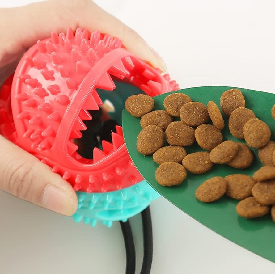 Stevig Hondentrektouw - PlayPaw