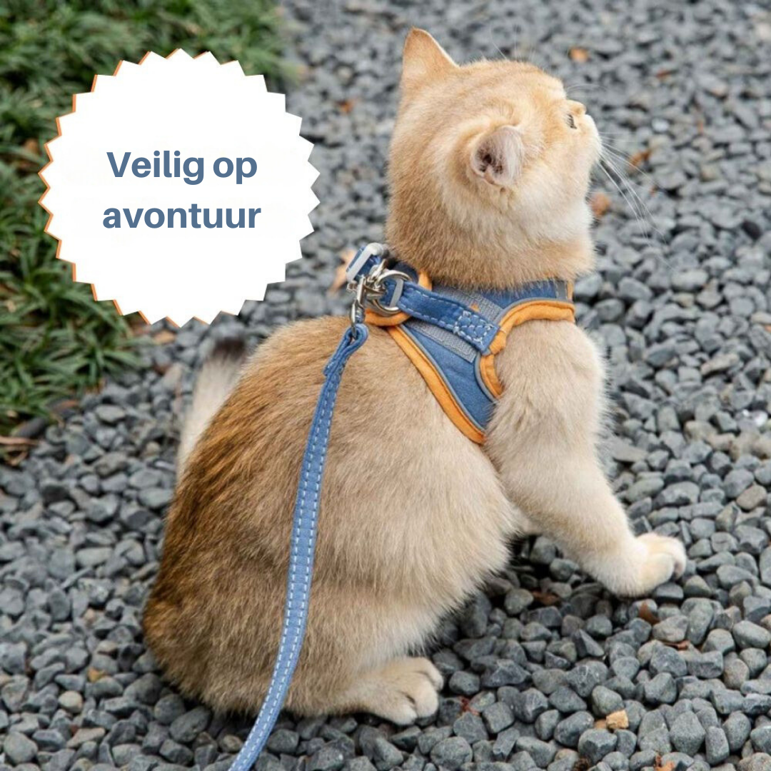 Kattentuigje - Oscar