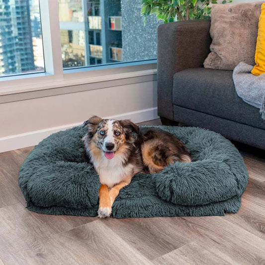 Kalmerend Hondenbed met Memory Foam - Charlie