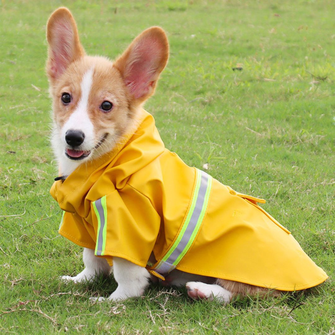 Honden Regenjas - RainGuard Pro
