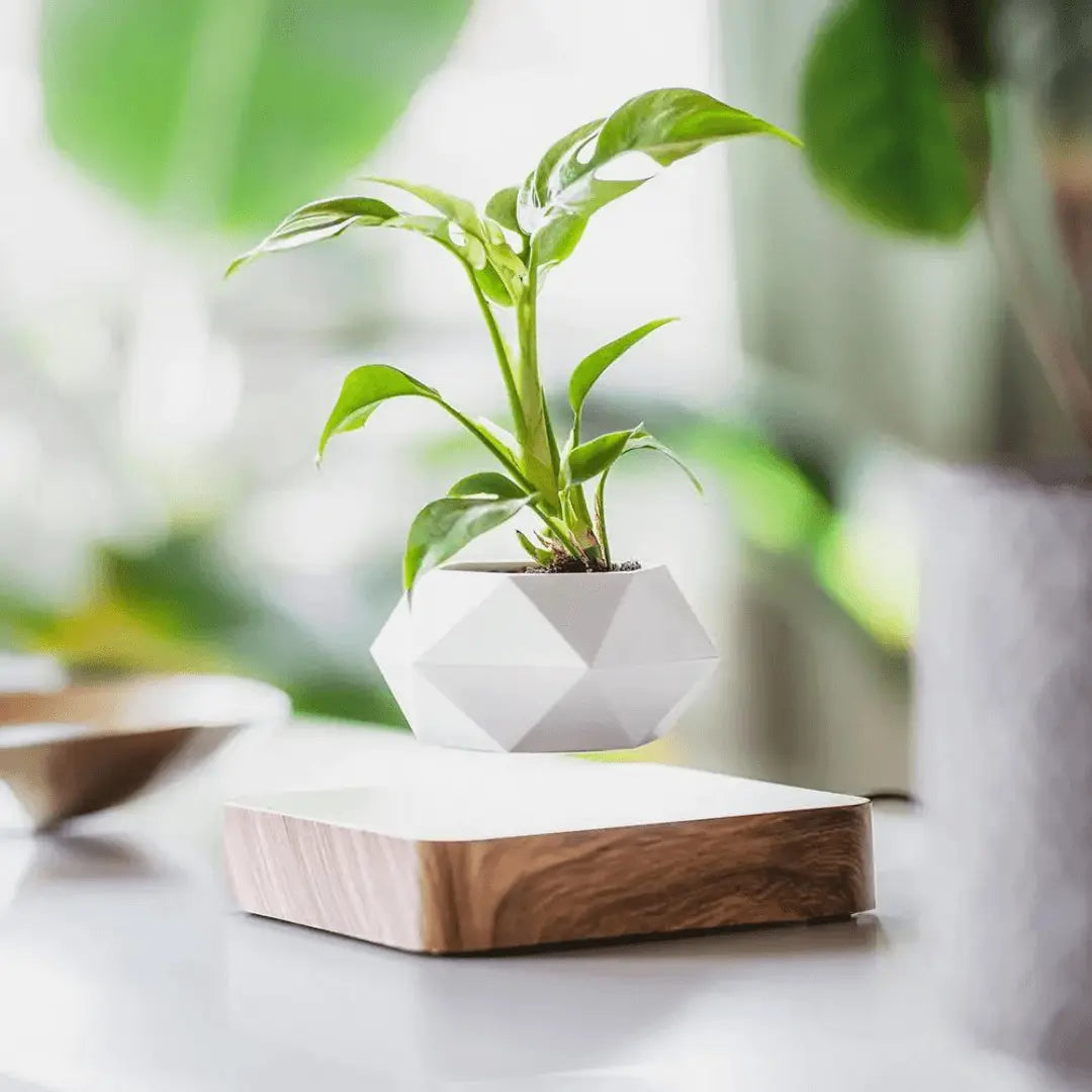 Zwevende Planthouder met Magnetische Levitatie - Liva