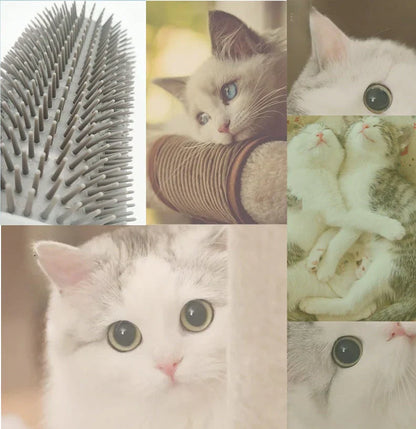 Katten Hoekborstel voor Zelfverzorging - PurrGroom