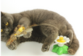 Bewegend Kattenspeeltje - FlutterPaw