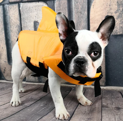 Honden Zwemvest - AquaPup