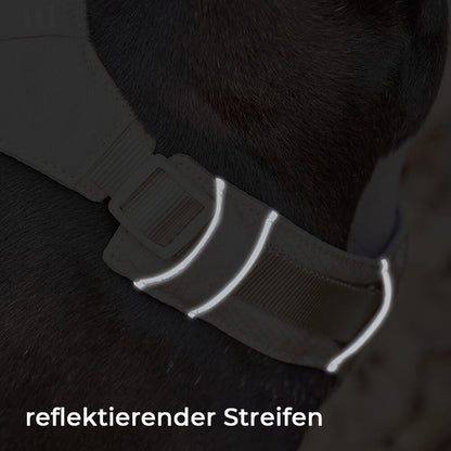 Anti-Trek Hondentuigje met Multi-Functionele Riem - AquaCool
