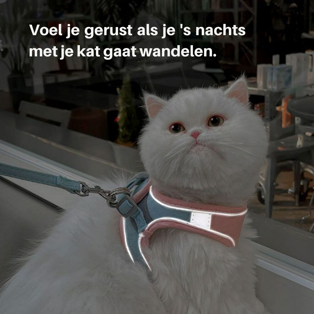Kattentuigje - Oscar