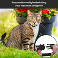 Katten Halsbandje met Veiligheidsluiting - Milo