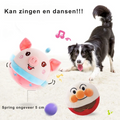 Actief Bewegend Hondenspeelgoed - Rover