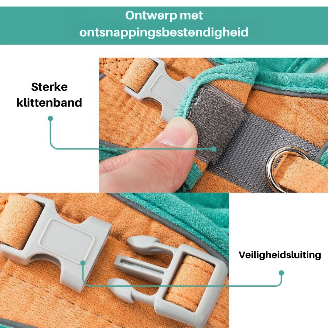 Kattentuigje - Oscar