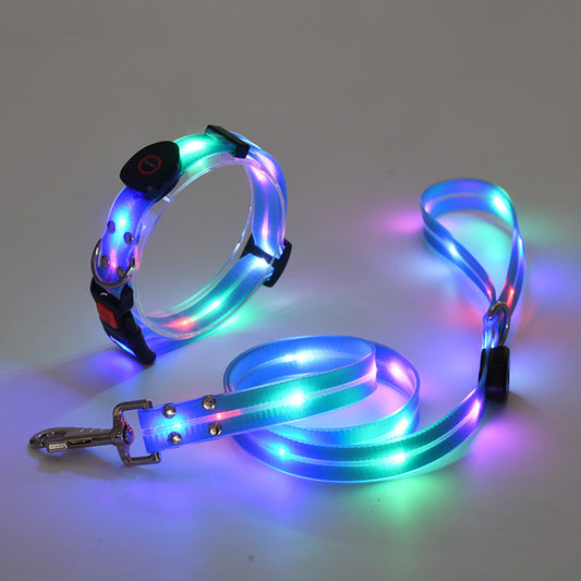 Lichtgevende LED Honden Halsband met Riem - NightBright