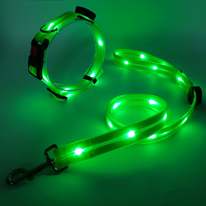 Lichtgevende LED Honden Halsband met Riem - NightBright