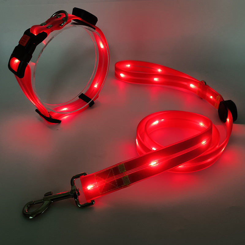 Lichtgevende LED Honden Halsband met Riem - NightBright