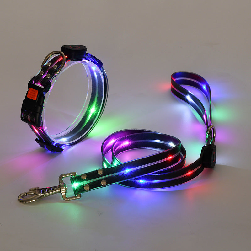 Lichtgevende LED Honden Halsband met Riem - NightBright