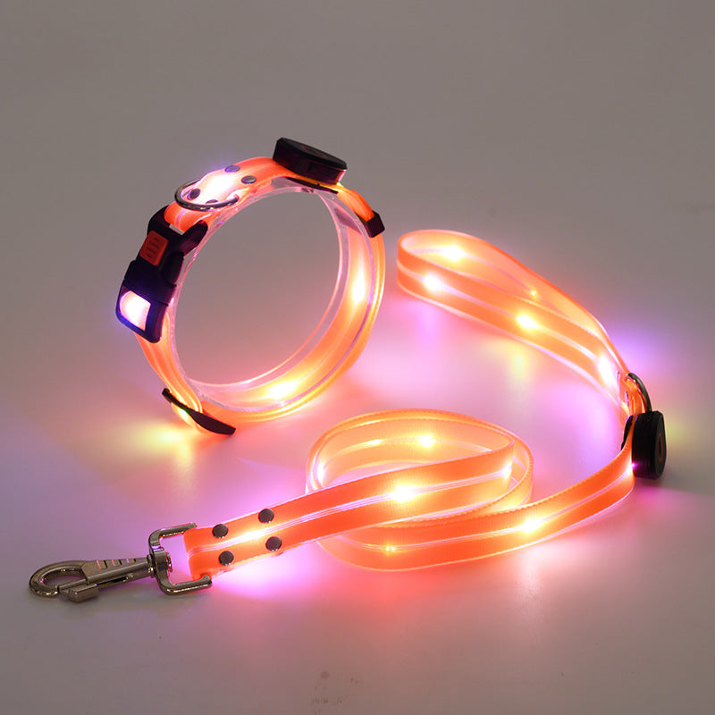 Lichtgevende LED Honden Halsband met Riem - NightBright